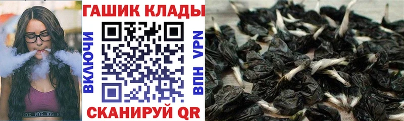 ГАШ Изолятор  ОМГ ОМГ как войти  Сухиничи 
