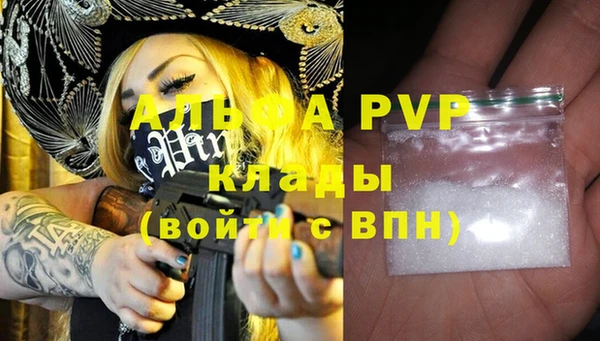 прущий лед Ладушкин