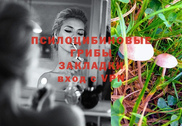 дурь Абдулино