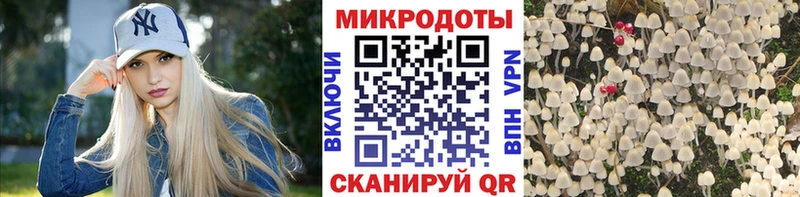 продажа наркотиков  Сухиничи  гидра ТОР  Псилоцибиновые грибы MAGIC MUSHROOMS 