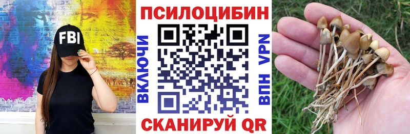 Псилоцибиновые грибы MAGIC MUSHROOMS Сухиничи